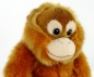 Preview: Orang Utan 27 cm